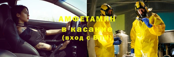 прущие грибы Балабаново