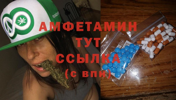 прущие грибы Балабаново