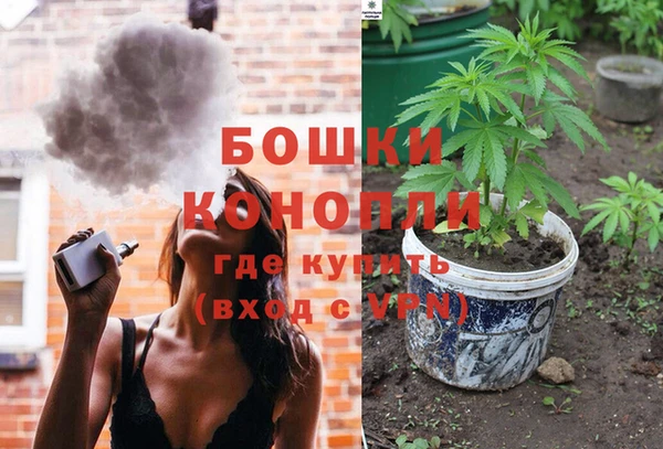 дмт Арсеньев