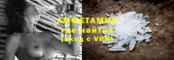 прущие грибы Балабаново